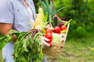 Close up Woman wearing gloves with fresh vegetables in the box i