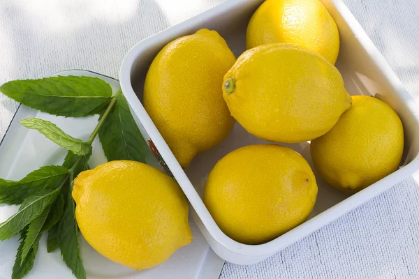 Fresh lemon and a sprig of mint — Stock fotografie