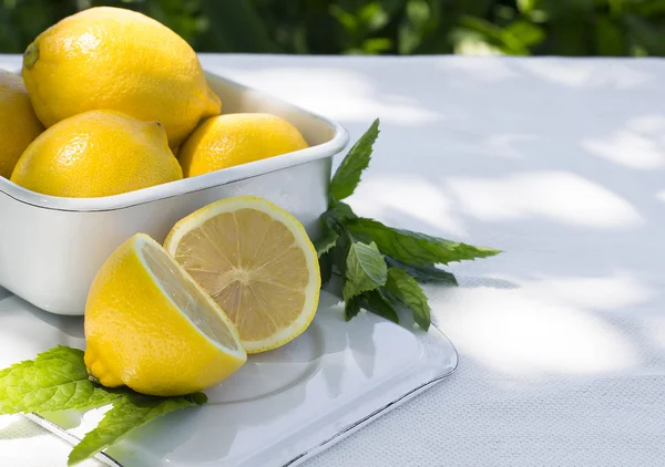 Fresh lemon and a sprig of mint — Stock fotografie