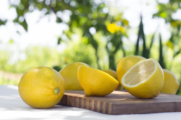 Fresh lemons. Selective focus. — Stock fotografie