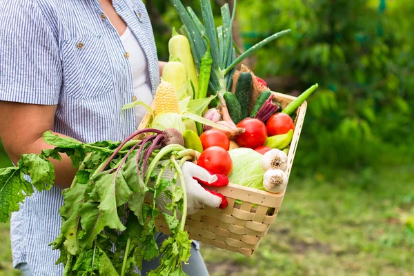 Close up Woman wearing gloves with fresh vegetables in the box i — ストック写真