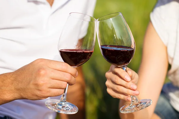 Two glasses of the red wine, picnic theme — Stock Photo, Image