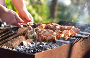 Smoky grilled marinated meat skewers Chicken