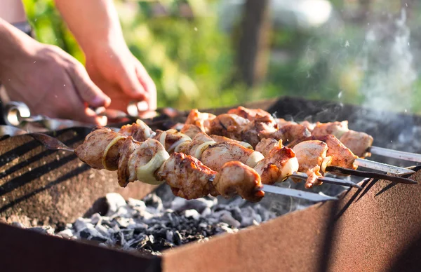 Smoky grilled marinated meat skewers Chicken