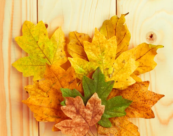 Outono maple folhas sobre fundo de madeira com copyspace — Fotografia de Stock