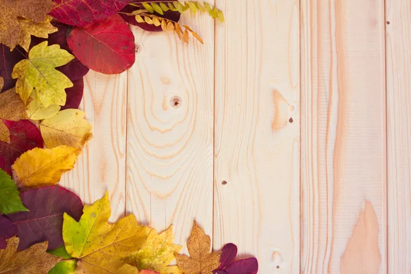 Fundo de outono com folhas coloridas na placa de madeira — Fotografia de Stock