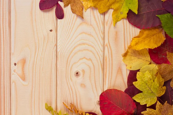 Fondo de otoño con hojas de colores en tablero de madera —  Fotos de Stock