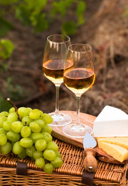 Peynir, iki bardak beyaz şarap bahçesinde çeşitli türlü — Stok fotoğraf