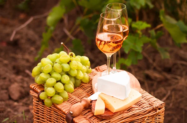 Различные сорта сыра, два бокала белого вина в саду — стоковое фото