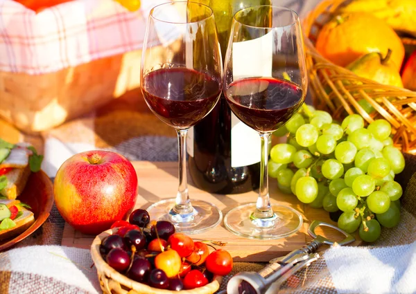 Two glasses of the red wine, picnic theme. — Stock Photo, Image