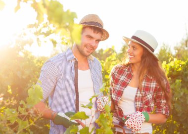 Genç çift bağ hasat mevsiminde