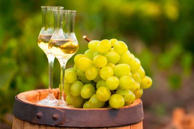 İki kadeh şarap ve üzüm üzüm satır arka plan üzerinde beyaz