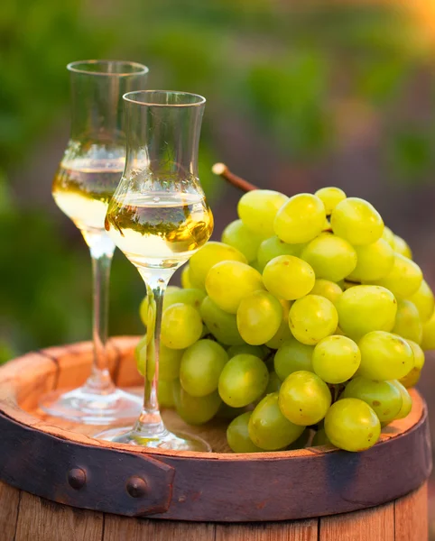 两个眼镜白色葡萄酒和葡萄在葡萄行的背景 — 图库照片