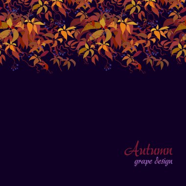 sonbahar üzüm asma