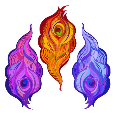 Violet, orange and blue painted vector peacock feathers.