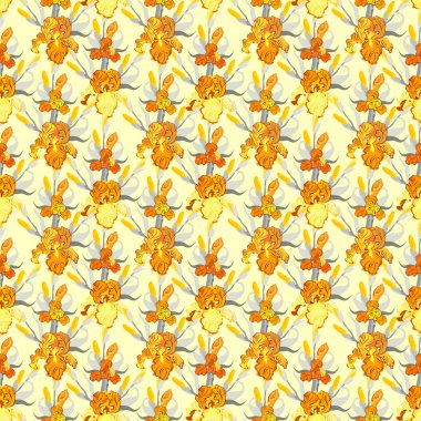 Yellow iris flower seamless pattern background.