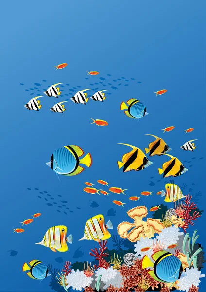 Corail _ fish — Image vectorielle