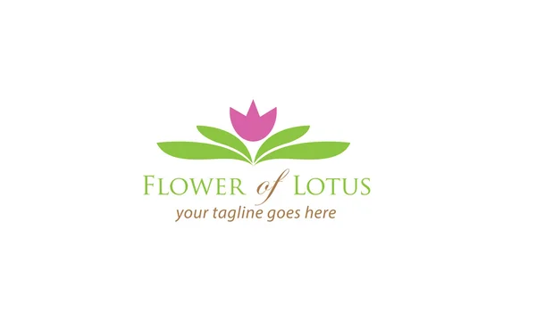 Modèle de logo de fleur de lotus — Image vectorielle