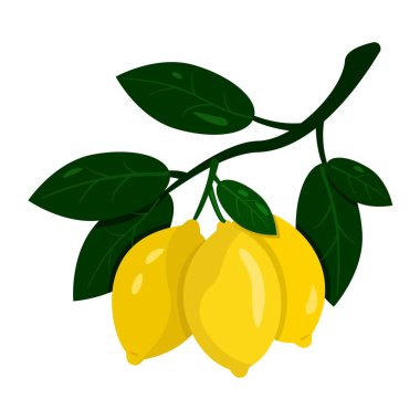 limon dallimones en una rama