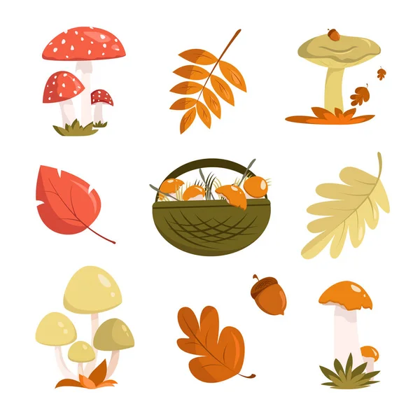 Champiñones y hojas de otoño — Vector de stock