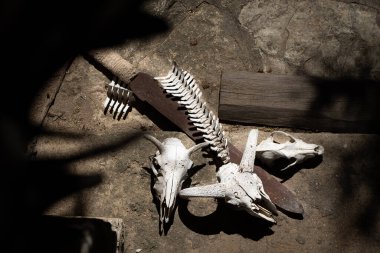 Kemikler ve kılıç, kafatasları, ejderha yenildi