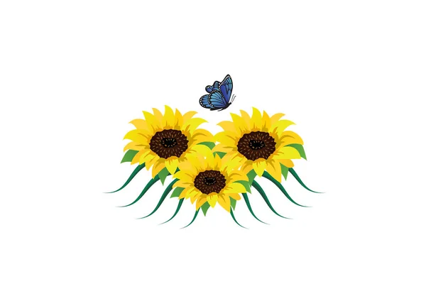 ひまわりのデザインテンプレートと美しい花のイラストベクトルグラフィック — ストックベクタ