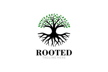 Beyaz arkaplan logo tasarım şablonu üzerinde ağaç kökü şeklinin resimleme vektörü grafiği