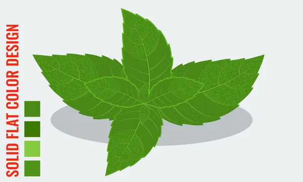 Векторные свежие мятные листья с минимальными плоскими цветами — стоковый вектор