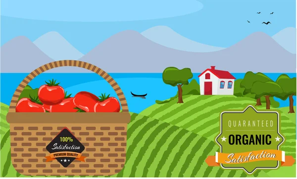 Granja paisaje plano. Concepto de alimentos orgánicos. Diseño plano . — Vector de stock