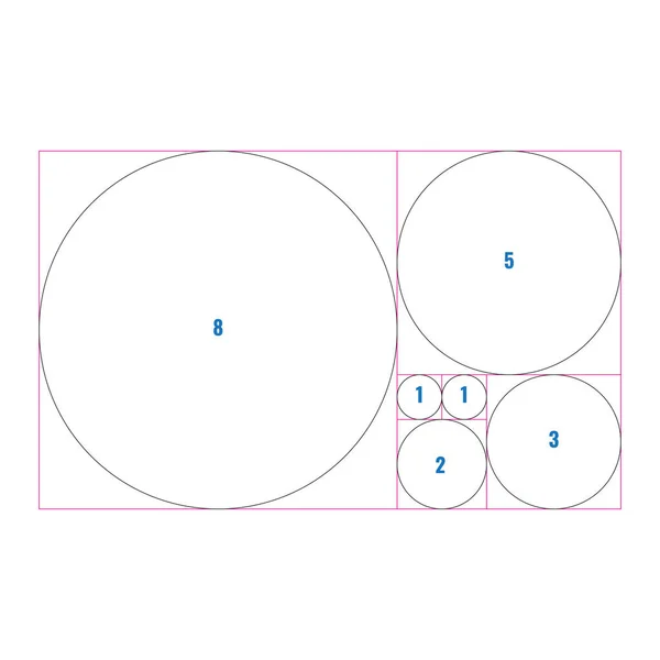 Gouden doorsnede verhouding of proportie cirkels. Harmonieus concept met cirkels. Vector Illustratie.. — Stockvector