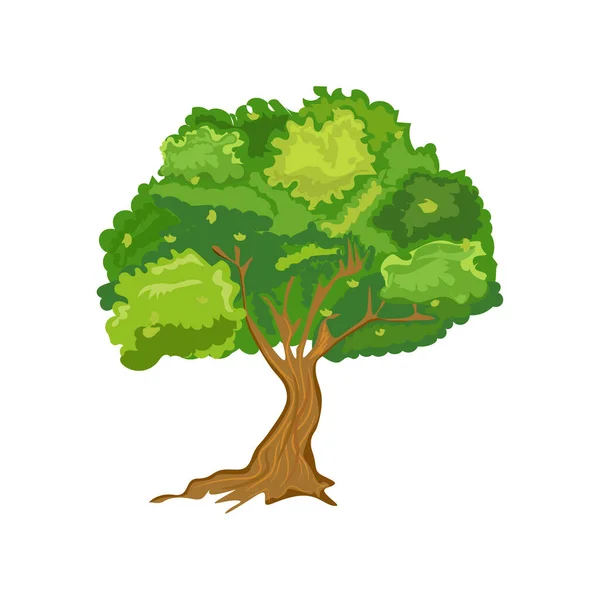 Παλιό ενιαίο δέντρο με στυλ κινουμένων σχεδίων. Επίπεδο και στερεό χρώμα διανυσματική απεικόνιση. — Διανυσματικό Αρχείο