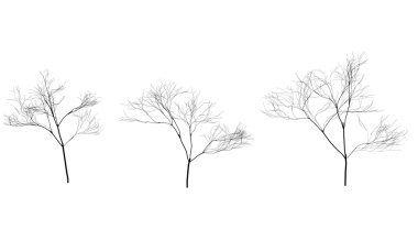 Collection of trees silhouettes without leaves. Branches clipart