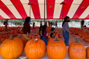 Mckinney, TX / USA - 20 Ekim 2020: Dokunmatik ekranı erkek eli gösteren bir yazıcının görüntüsünü kapat