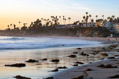 Laguna Beach, CA USA - 20 Ocak 2021: Laguna sahil şeridinin günbatımı manzarası önde yosun, arkada palmiye ağaçları ve binalar