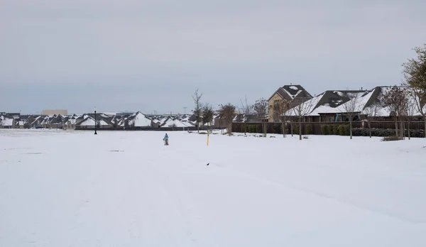 Mckinney, TX USA - 17 Şubat 2021: Westridge Community 'deki Highlands' ın yol kenarı manzarası Şubat ayında Teksas 'ta yoğun kar yağışıyla kaplandı