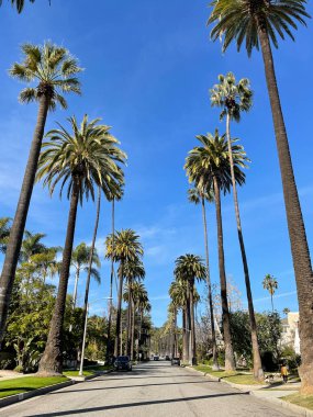 Beverly Hills, CA USA - 20 Ocak 2021: Kaliforniya 'da palmiye ağaçları ve arabalarla Beverly Hills' teki mahallelerin sokak manzarası