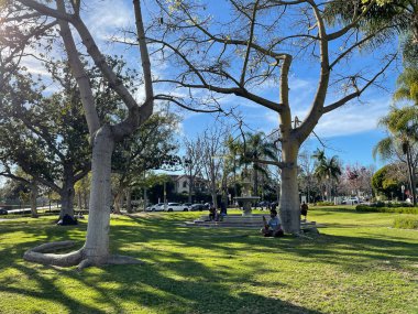 Beverly Hills, CA USA - 20 Ocak 2021: Güneşli bir günde Beverly Gardens Parkı 'nın yol manzarası