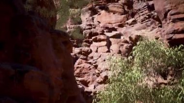 Doğal Büyük Kanyon Uçurumu 4K Arkaplan Yukarı Eğiliyor.