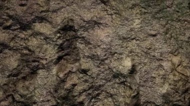 Rocky Zemin Yüzey Kapanışı, Doğa Arkaplanı .