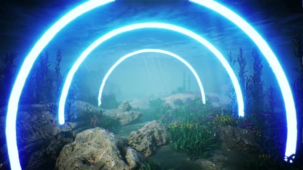 Blauer Kreis Led Licht Unterwasser Aquarium Natur Hintergrund — Stockvideo