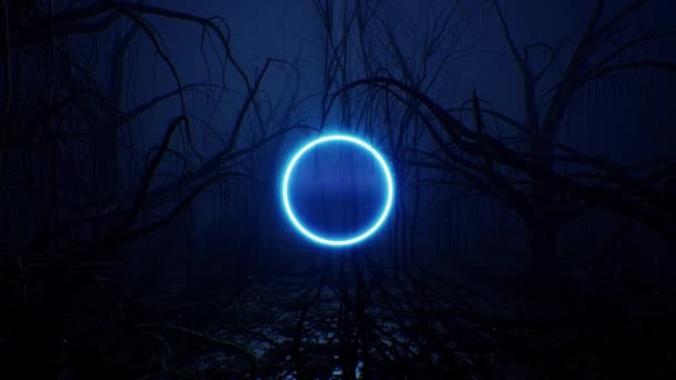 Lumière Bleue Brillante Cercle Néon Dans Forêt Sombre — Video