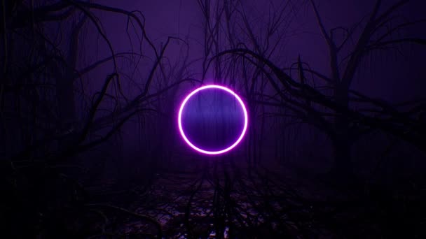 Lumière Cercle Néon Violet Brillant Dans Forêt Sombre — Video