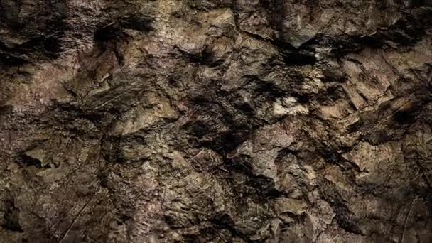 山岩基岩基岩基岩基岩基岩自然质构背景 — 图库视频影像
