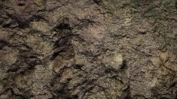 Крупный План Поверхности Каменистой Почвы Природный Фон — стоковое видео