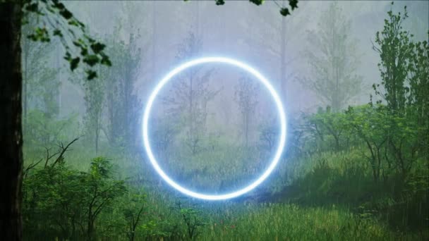多雨多雾的森林草场自然景观背景下的霓虹灯蓝色圆形Vj光 — 图库视频影像