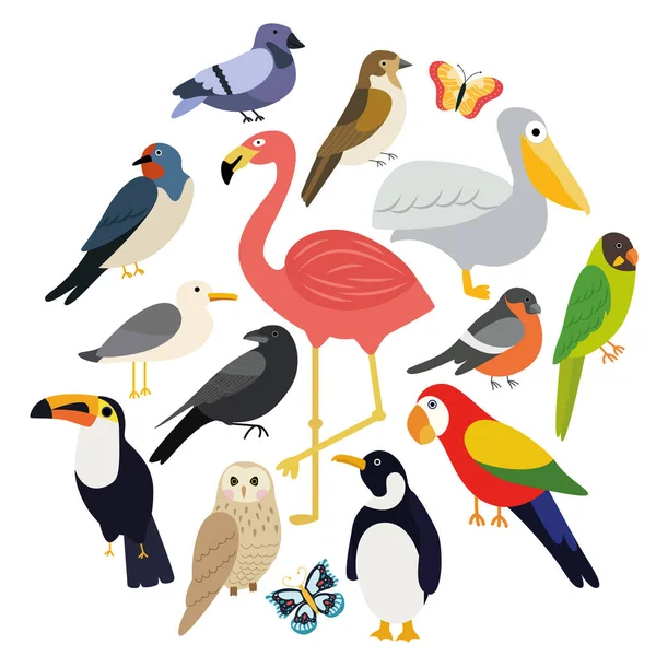 Vektor-Set verschiedener Vögel auf weißem Hintergrund — Stockvektor