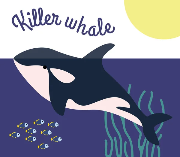 Μπλε Αρπακτική Φάλαινα Δολοφόνος Κολυμπά Στον Υποβρύχιο Κόσμο Της Θάλασσας — Διανυσματικό Αρχείο
