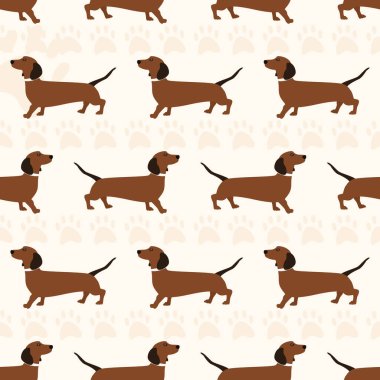 Dachshund cinsinin köpeklerinde kusursuz desen. Bej arka planda sevimli bir hayvan olan vektör çizim dairesi.