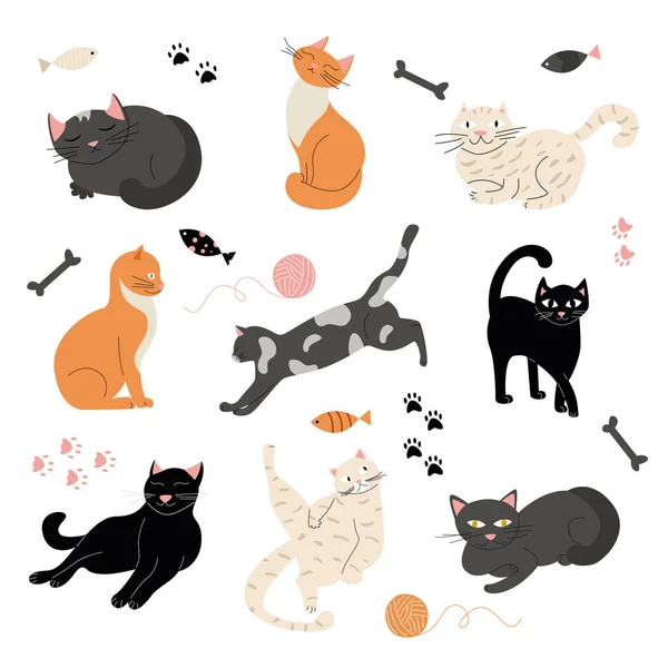 Ensemble Chats Différentes Races Sur Fond Blanc Avec Des Des — Image vectorielle