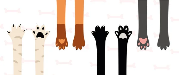 異なる品種の爪を持つ猫の爪で骨を持つピンクの背景に設定します ベクトルイラスト — ストックベクタ